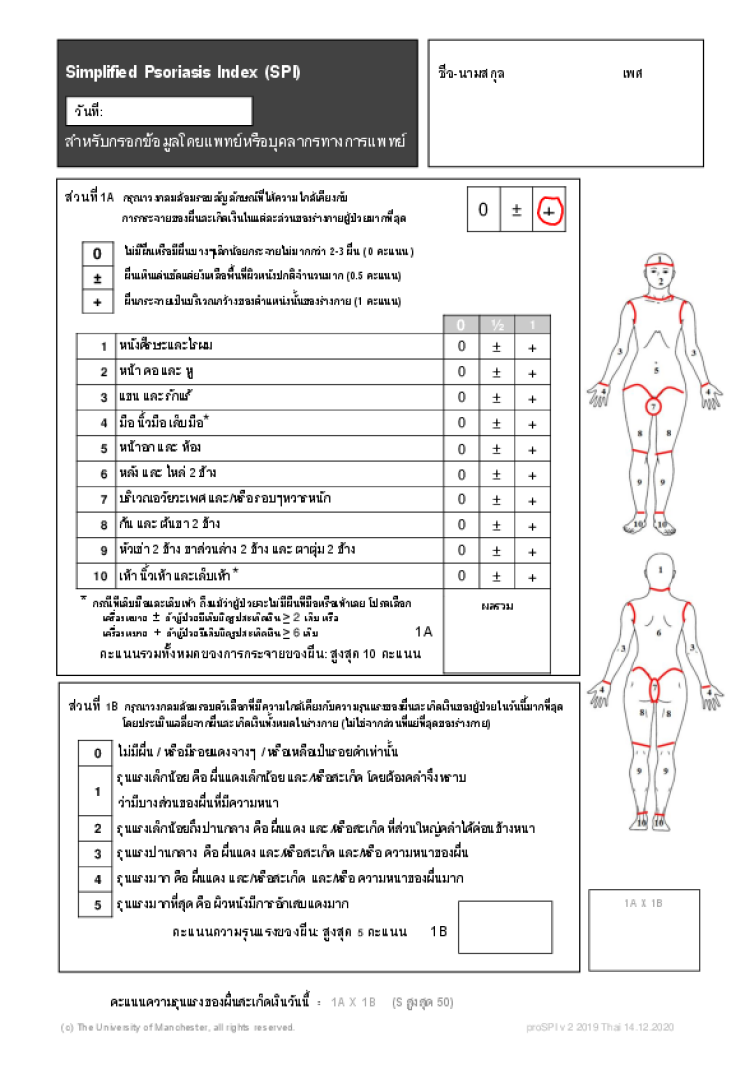 salford psoriasis index proposals robert chalmers 25th february 2008