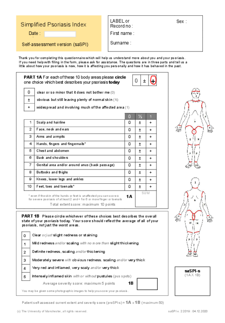 SPI self assessment saspi