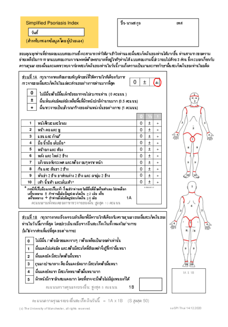 SPI self assessment saSPI thai version
